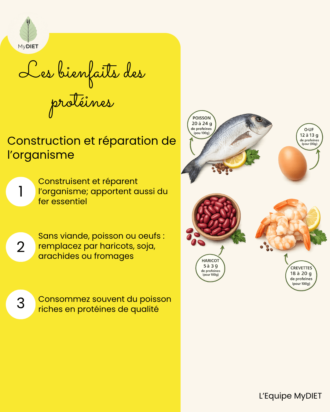 Les bienfaits des protéines